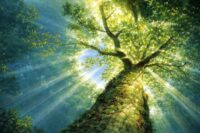 b685d8ed-8528-4675-b2f6-ab0d238fe625